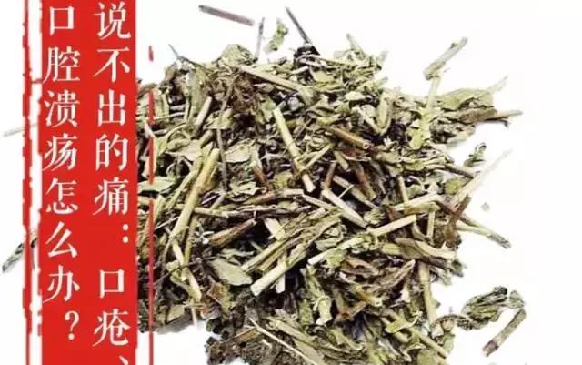 一号难求北京一位超厉害的医生,一号难求北京中医