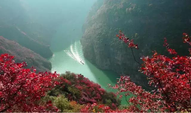 走完这186块钱，包你女友/老婆对你死心塌地！