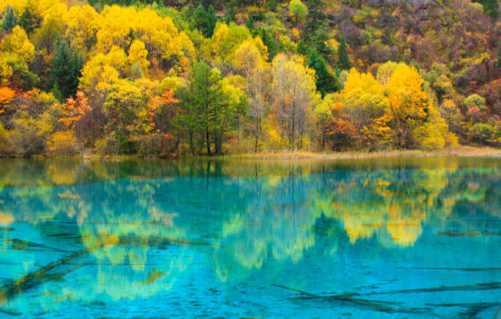 成都市拍婚纱照去哪里拍比较好看,推荐一下拍婚纱照的地方