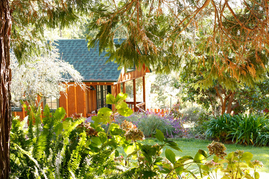 去斯里兰卡经营民宿要什么条件,斯里兰卡开一家民宿