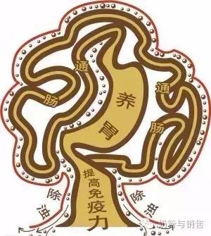 调理肠胃最好的奶粉排名,宝宝肠胃不好怎么选奶粉好