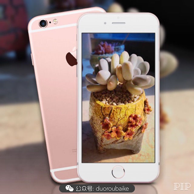 这样的极品雪天使，你可倾心？