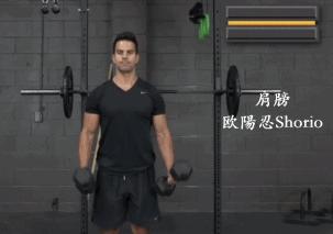 健身你只需练这9个动作就可以训练到全身肌肉尤其适合初学者