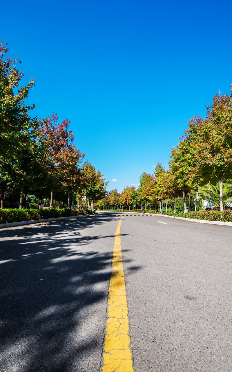 浜戝崡甯堣寖澶у鍛堣础鏍″尯,浜戝崡甯堣寖澶у