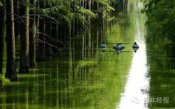 武汉秋天不可错过的美景,武汉踏春打卡地