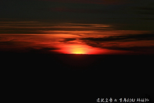 太平洋小小岛国帕劳貌似已被中国人全面占领