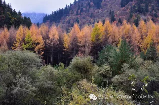 羊茸哈德村落照片,羊茸哈德附近景点