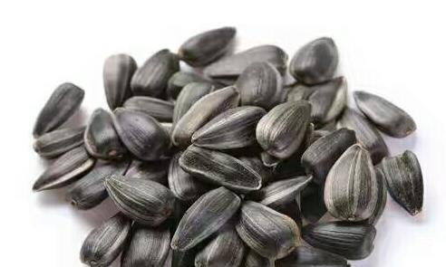 孕妇吃瓜子会不会拉肚子,孕妇吃瓜子对胎儿有影响吗