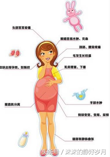 怀孕初期身体最明显的七大症状,怀孕后身体哪些变化来保护胎儿