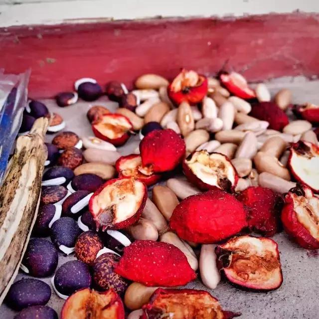 孩子说想出去玩怎么办,孩子问为什么不能出去玩