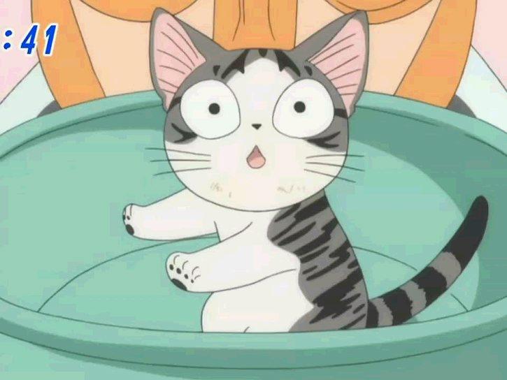 动漫卡通猫的名字,可爱动漫猫图片