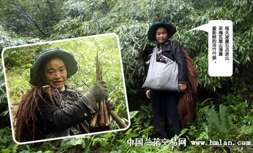 西部刀手，行走于中国道教神山四川洪雅瓦屋山，暗藏杀伐之气！