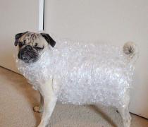 搞笑奇葩囧图趣图,内涵囧图逗你爆笑一整天