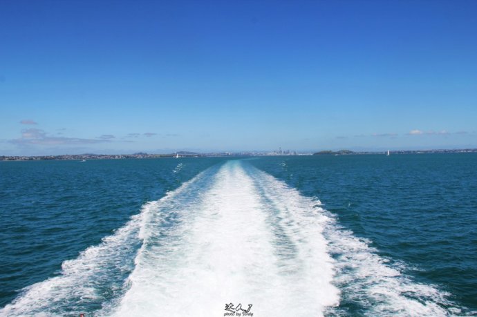 到怀希基岛,品酒-看海