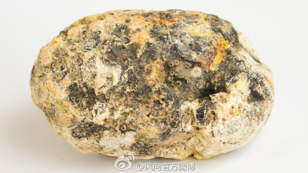 香水之冠军篇——Invictus胜者为王