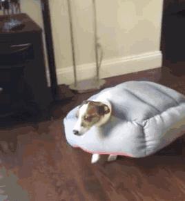 最强冷空气杀来，这10款冬季面霜可以种草了！