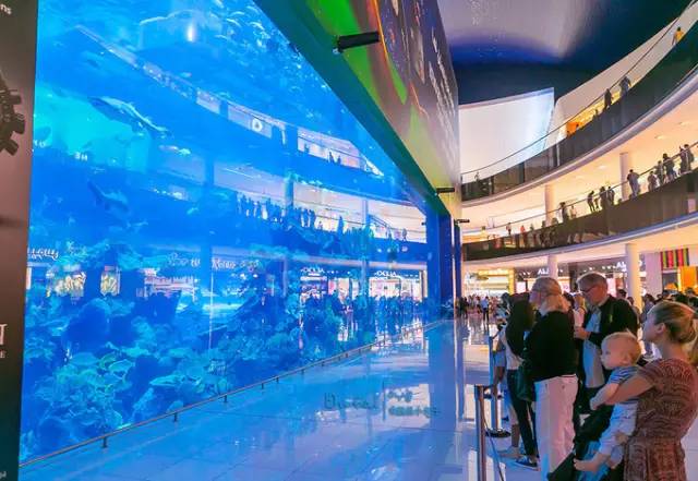 去迪拜旅游流程攻略,去迪拜旅游的朋友讲讲攻略