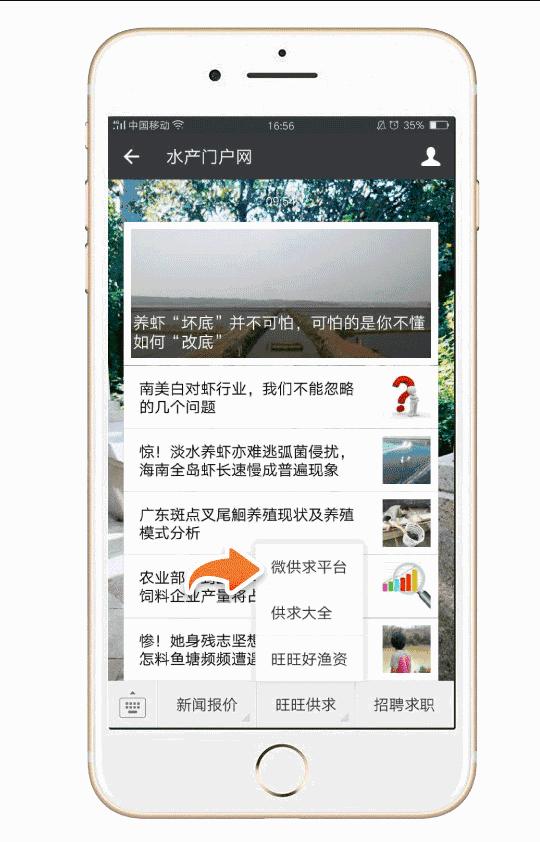 在大连养殖扇贝能挣多少钱,每亩扇贝养殖利润多少合适