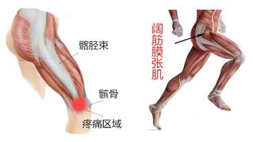 长期运动如何保护膝盖,修复膝盖关节最好的运动