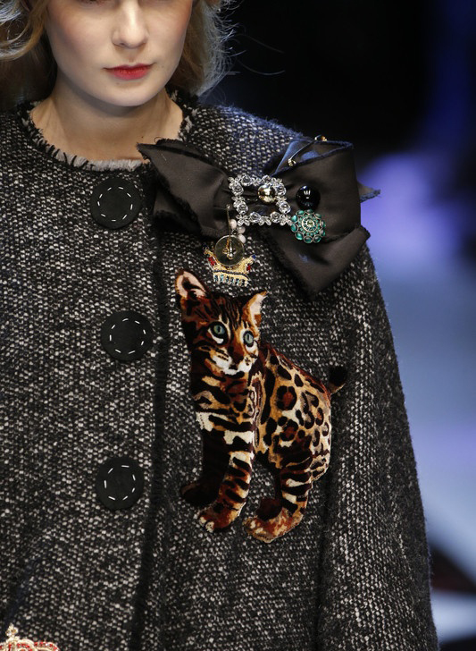 从路人到女神唱的歌,从路人到女神