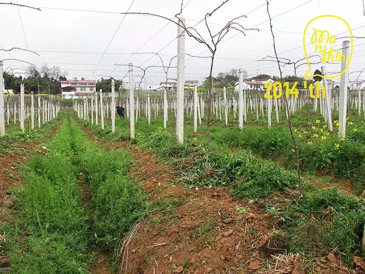 农心|一起向匠人精神致敬!