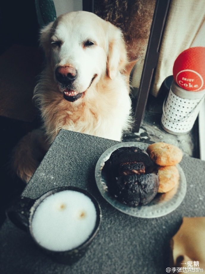 哪一种电暖炉比较好,轻奢电暖炉