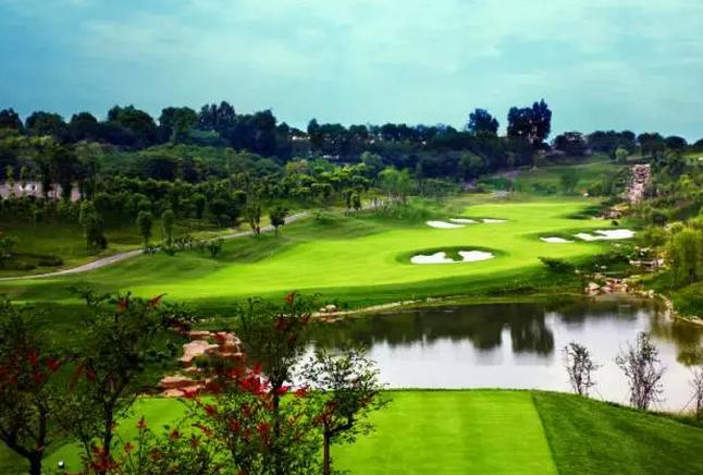 你看到了哪些公园,你看到的岂止是风景