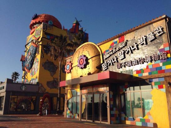 济州岛4天自由行路线,济州岛冬天自由行攻略