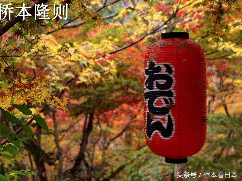 日本人在中国工作,在中国工作的日本人