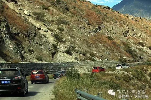 最好的旅程是在家陪伴,最好的旅行是陪伴