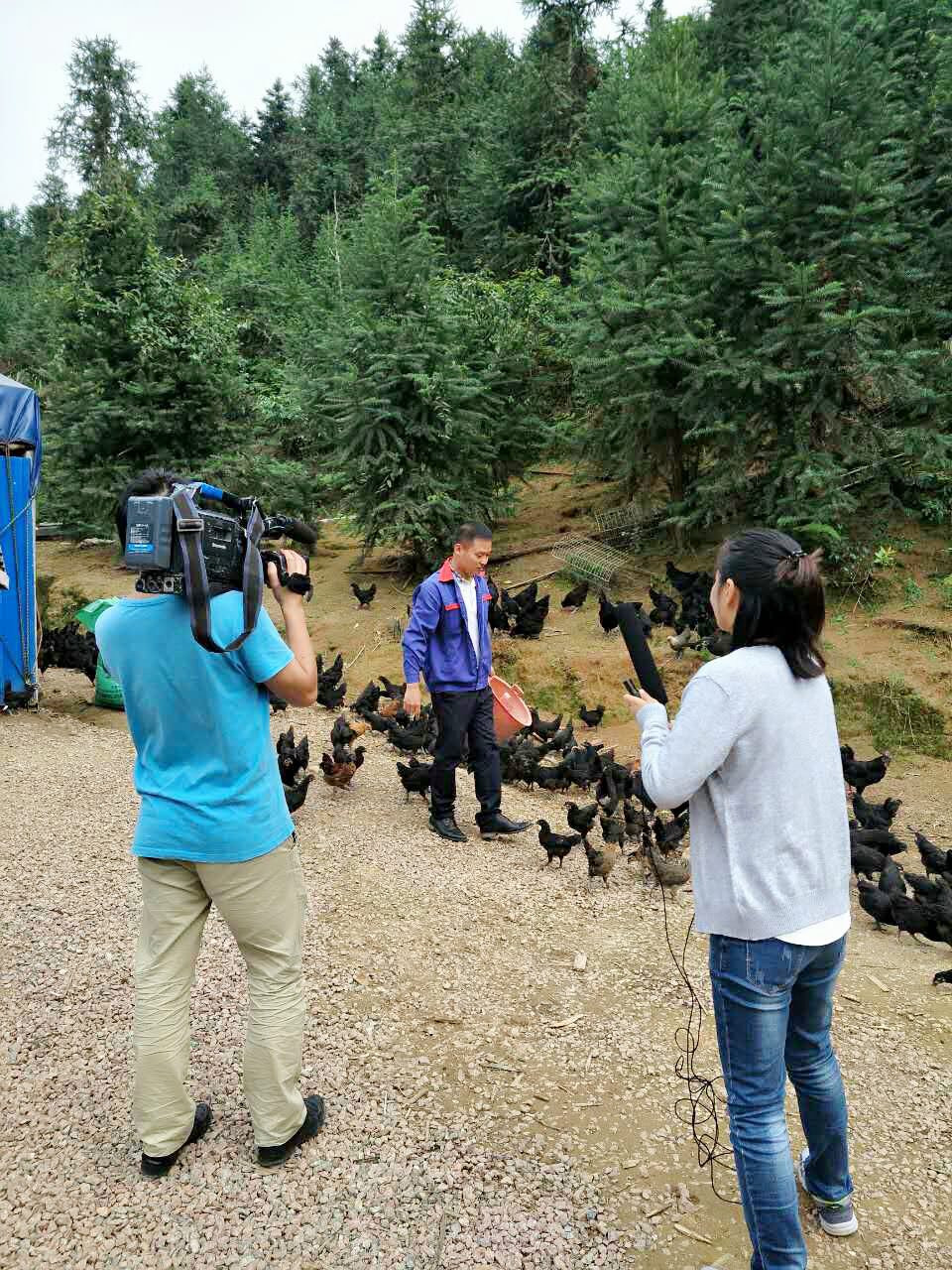 从破产农场转型一线品牌大型农场,鬼知道经历了什么