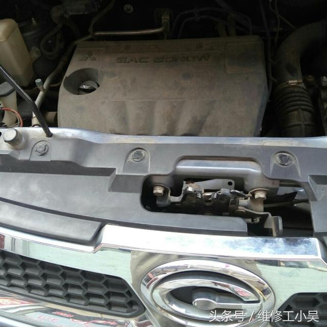 谁能帮我拍一下右上角的蚊子，血是红色的