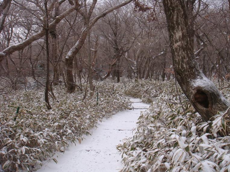 济州岛市区买买买攻略,济州岛必须做的100个事