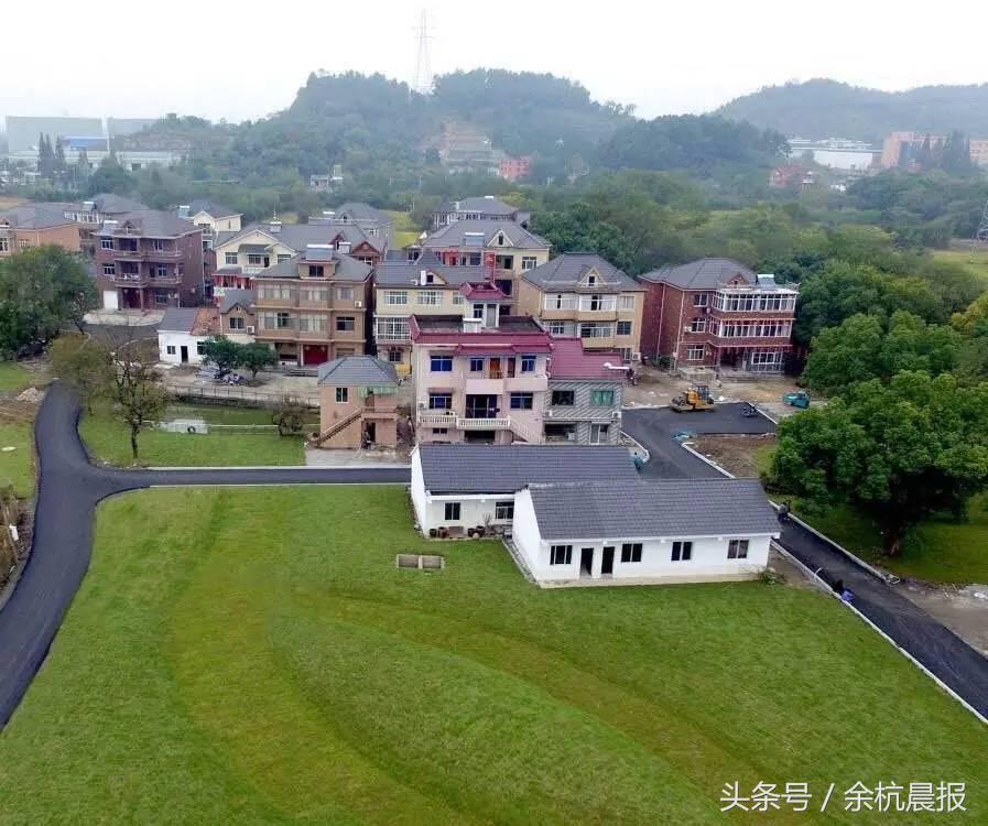 仓前羊锅村哪家最好,仓前羊锅村最新消息