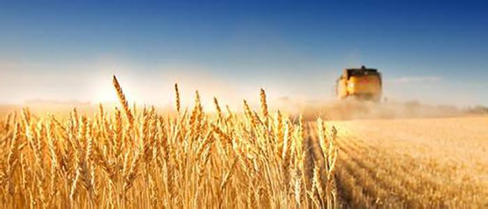 创业新点子100个100万的创业项目,创业白手起家热门免费的创业点子