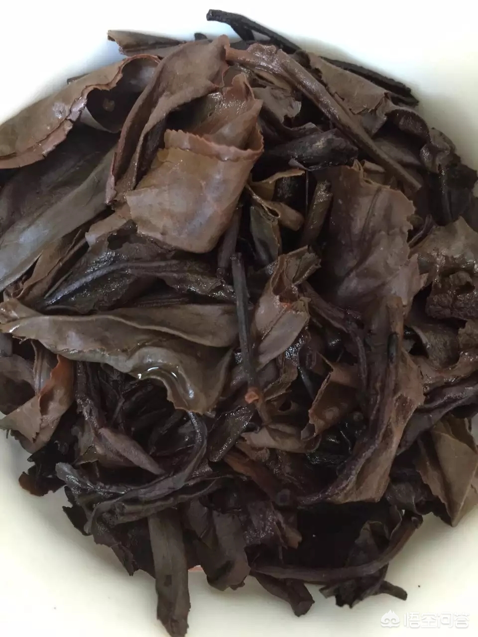 台地茶和高山茶有什么不同,山地茶和台地茶的区别