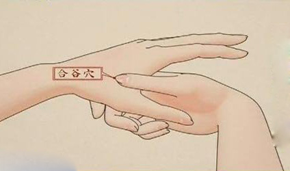 超全面防晕车攻略,坐大巴防晕车小妙招