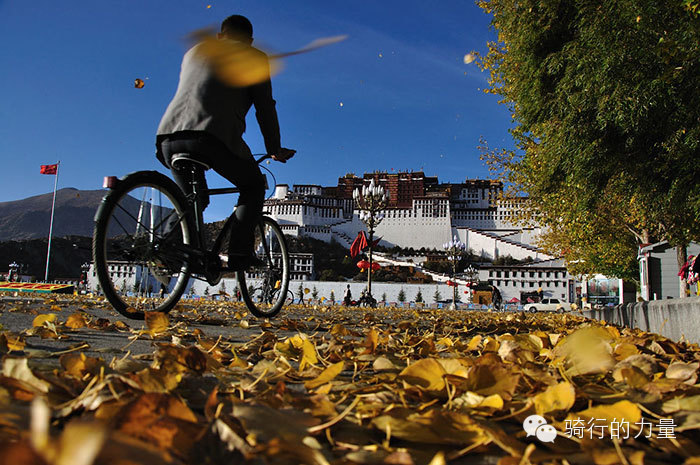我为什么要骑自行车,我为什么要骑公路车
