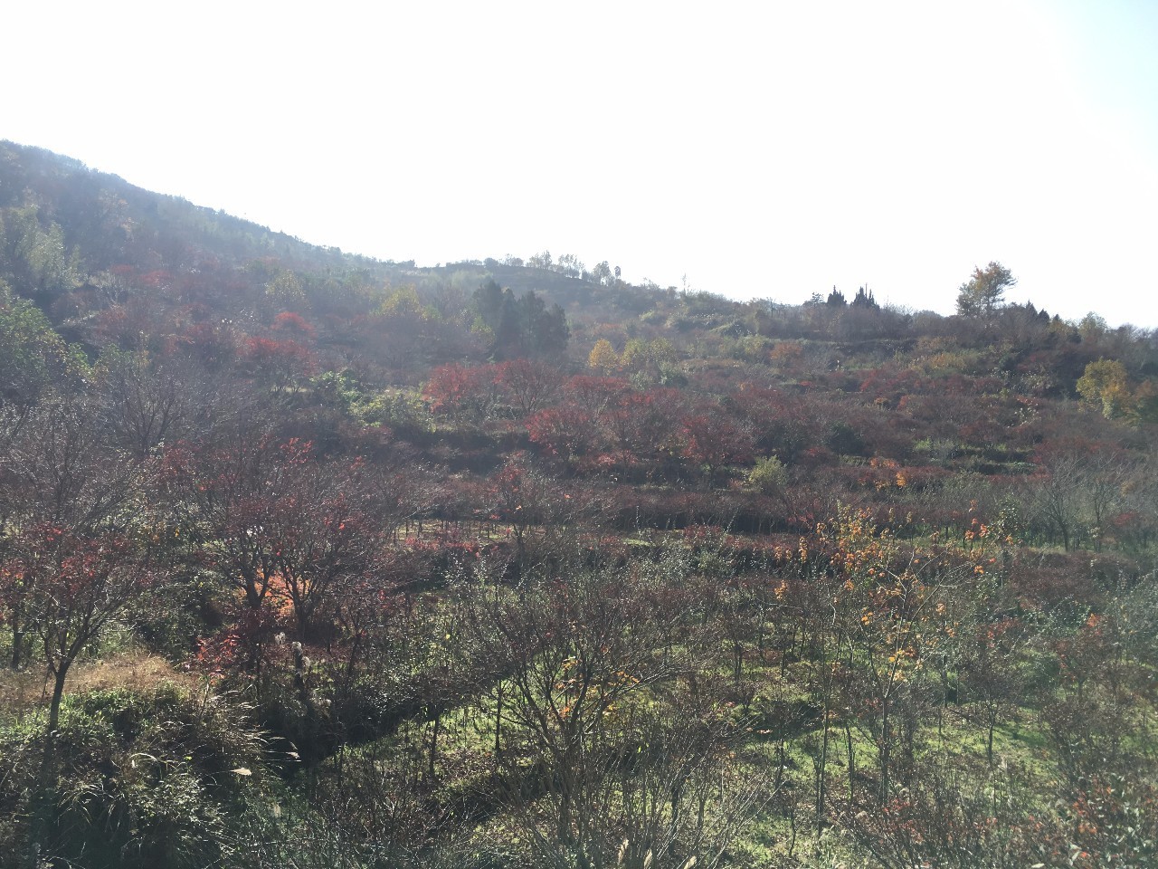 奉化溪口镇栖霞古道,宁波奉化旅游攻略完整版