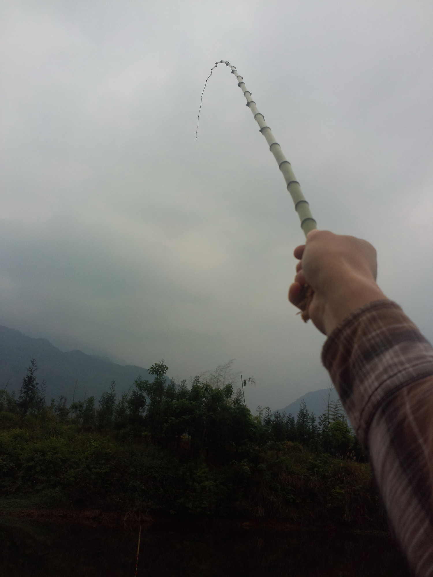 在山上砍竹竿拿来钓鱼养鱼,金竹适合做鱼竿吗