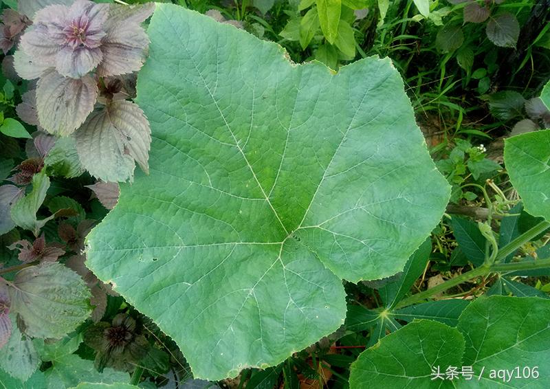 魅蓝青年良品店,魅蓝note3全部功能介绍