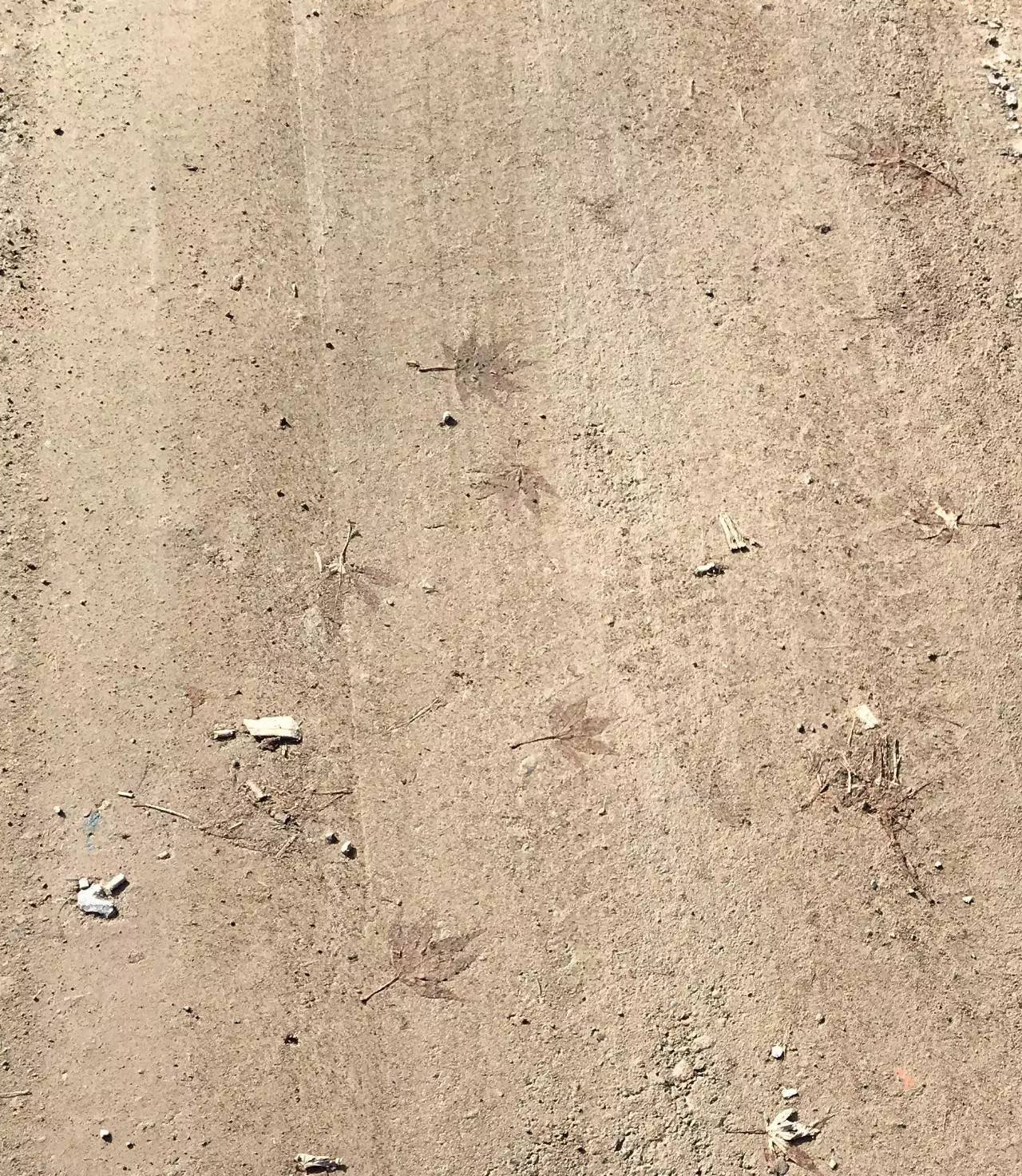 奉化溪口镇栖霞古道,宁波奉化旅游攻略完整版