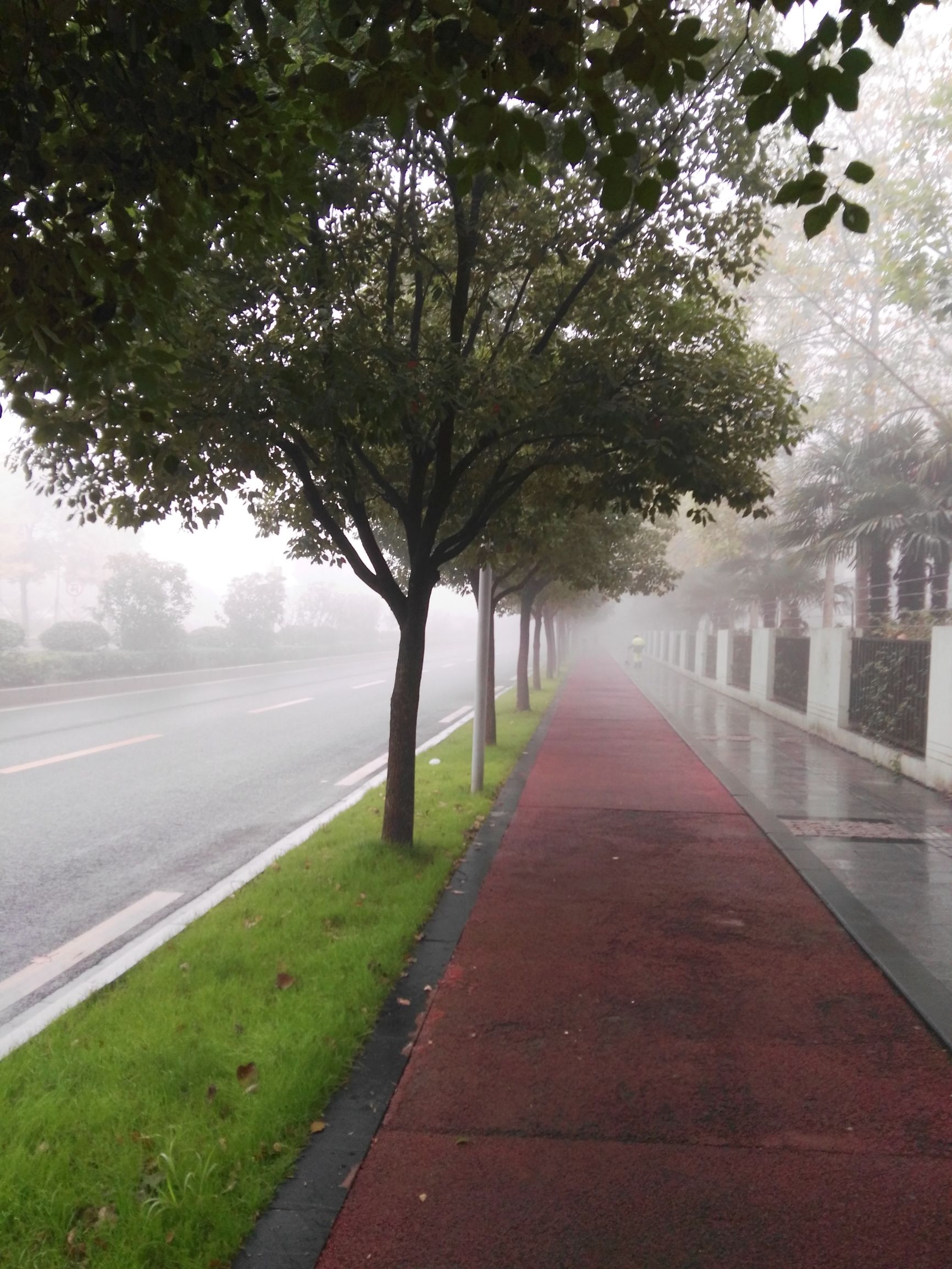 tcl空气净化器有用吗,净化小神器