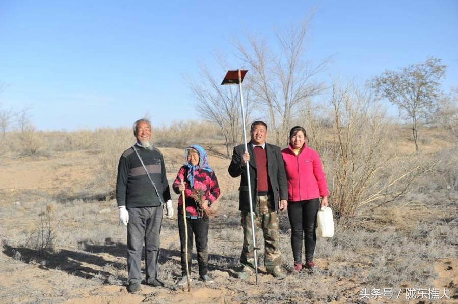 父女开荒种树80万棵,父子绿化沙漠