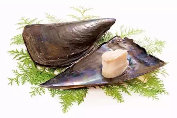 又双叒叕吃人家生殖腺！老不要脸了