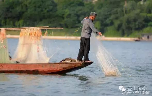 湖北省哪个地方的鱼最好吃,湖北最好吃的淡水鱼在哪里