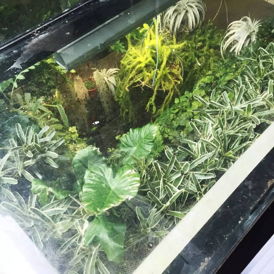 东京花店,东京南青山花店