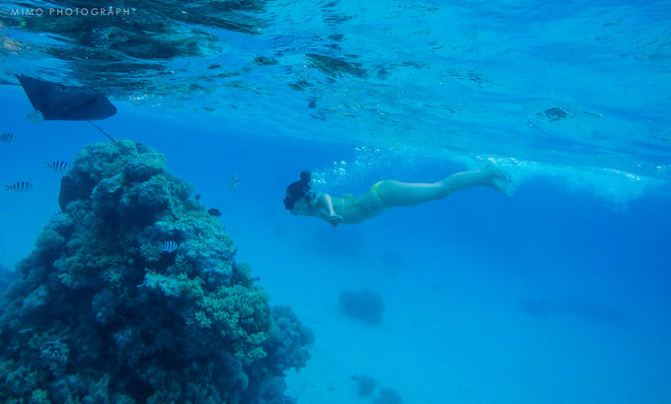 库克，上帝最秘密的存在