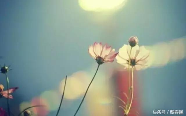 小儿子嫌父亲穷困无知当面辱骂，反被哥哥打脸，干得漂亮！