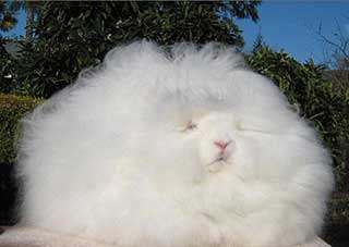 超皮秒激光祛斑2022价目表,激光皮秒祛斑一到七天变化图